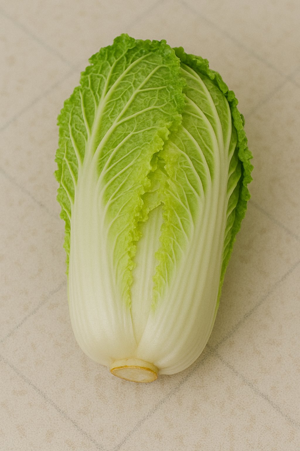 Frischer Chinakohl halbiert