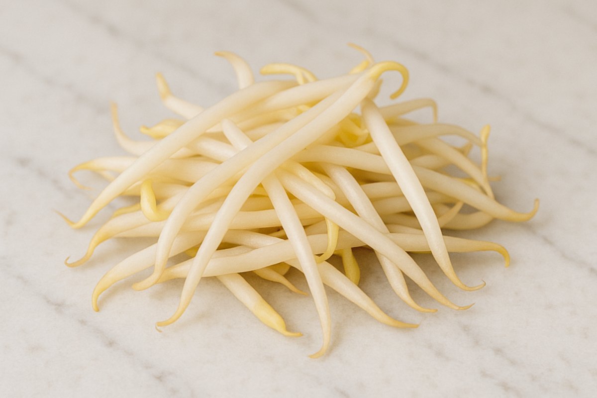 Frische Sojasprossen in einer Schale