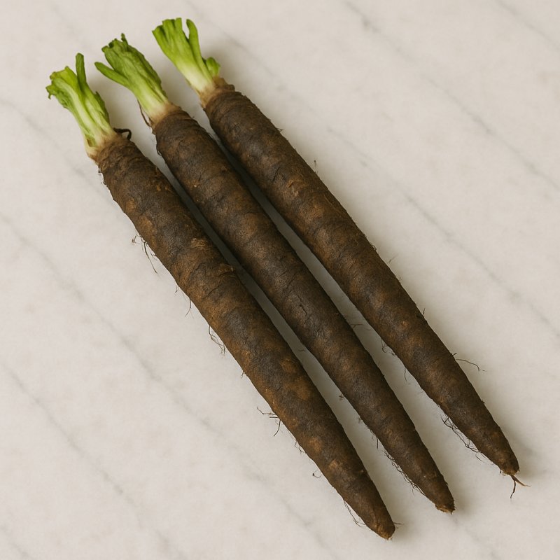 Frische Schwarzwurzeln