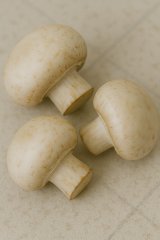 Champignons - frisch oder Dose