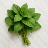 Zitronenmelisse - Blätter